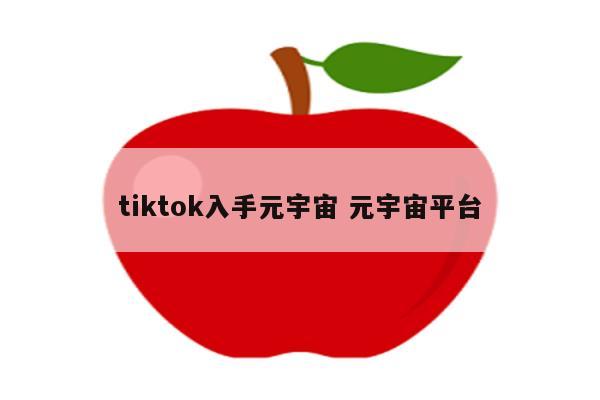 tiktok入手元宇宙 元宇宙平台