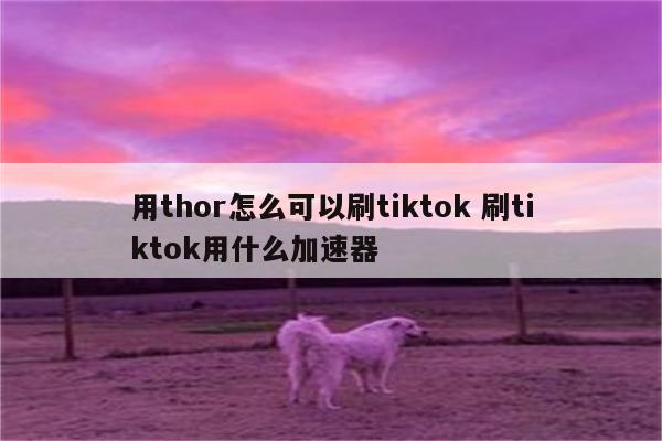 用thor怎么可以刷tiktok 刷tiktok用什么加速器