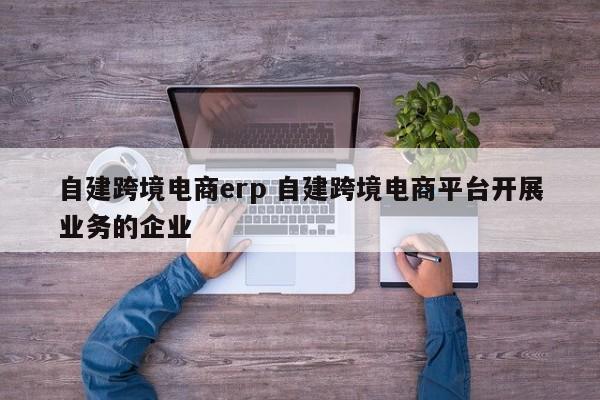 自建跨境电商erp 自建跨境电商平台开展业务的企业