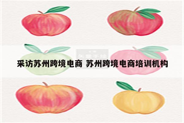 采访苏州跨境电商 苏州跨境电商培训机构