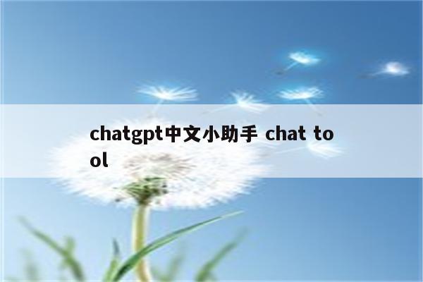 chatgpt中文小助手 chat tool