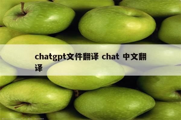 chatgpt文件翻译 chat 中文翻译
