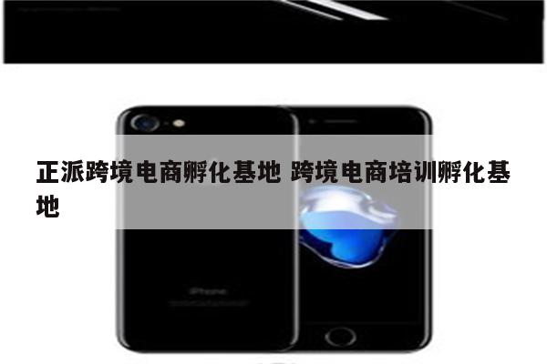 正派跨境电商孵化基地 跨境电商培训孵化基地