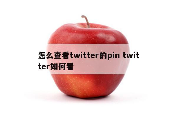 怎么查看twitter的pin twitter如何看