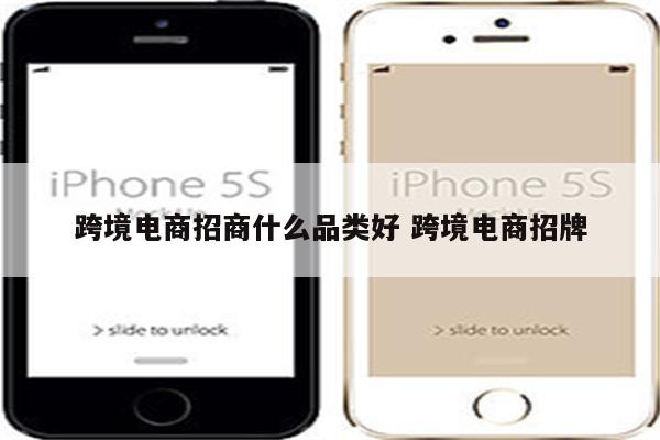 跨境电商招商什么品类好 跨境电商招牌