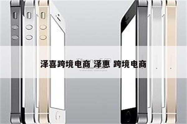 泽喜跨境电商 泽惠 跨境电商