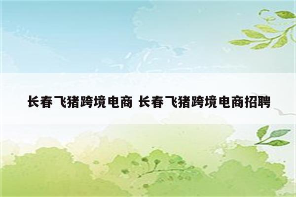 长春飞猪跨境电商 长春飞猪跨境电商招聘