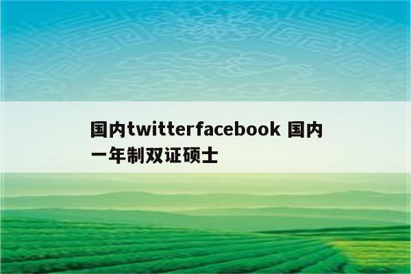 国内twitterfacebook 国内一年制双证硕士