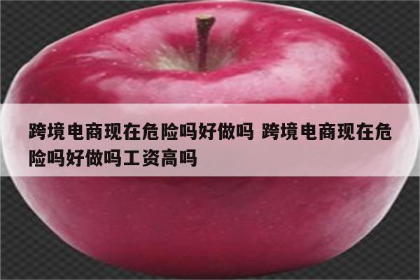 跨境电商现在危险吗好做吗 跨境电商现在危险吗好做吗工资高吗