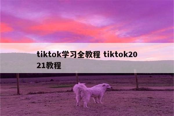 tiktok学习全教程 tiktok2021教程
