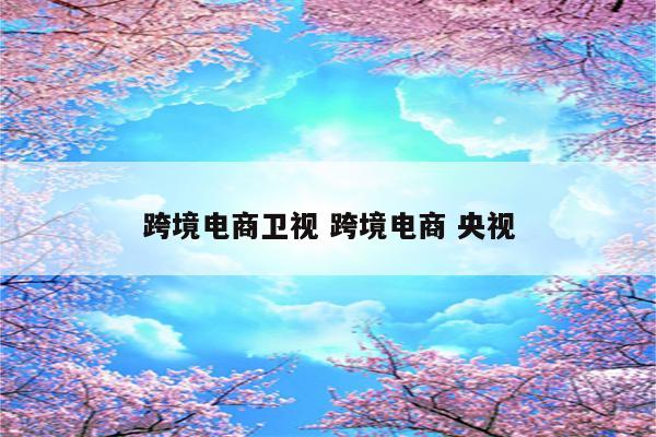 跨境电商卫视 跨境电商 央视