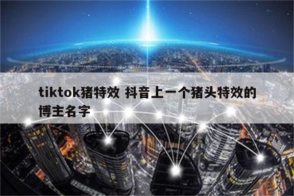 tiktok猪特效 抖音上一个猪头特效的博主名字
