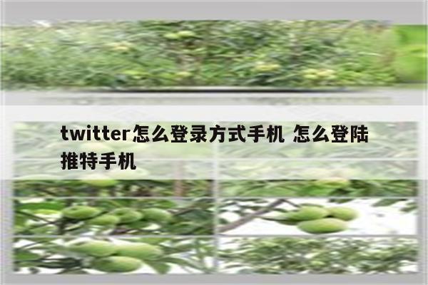 twitter怎么登录方式手机 怎么登陆推特手机