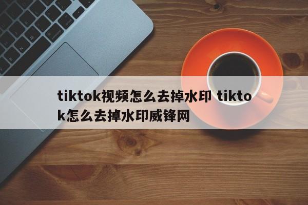 tiktok视频怎么去掉水印 tiktok怎么去掉水印威锋网