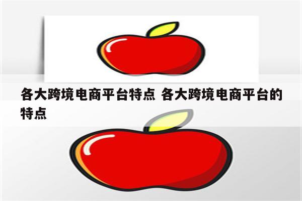 各大跨境电商平台特点 各大跨境电商平台的特点