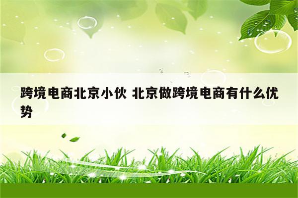 跨境电商北京小伙 北京做跨境电商有什么优势
