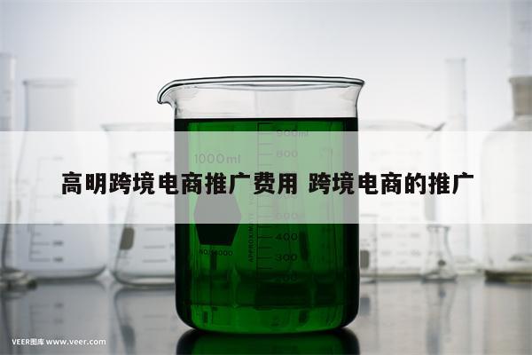 高明跨境电商推广费用 跨境电商的推广