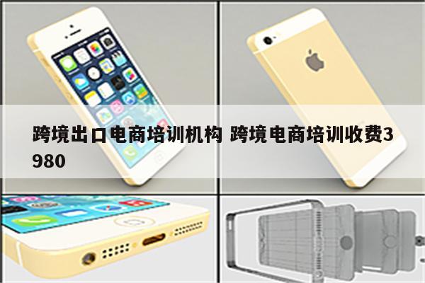 跨境出口电商培训机构 跨境电商培训收费3980