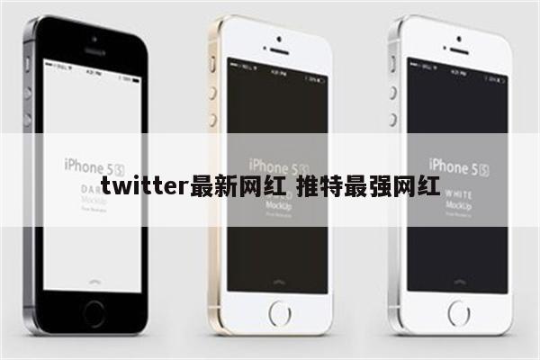 twitter最新网红 推特最强网红