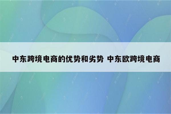中东跨境电商的优势和劣势 中东欧跨境电商