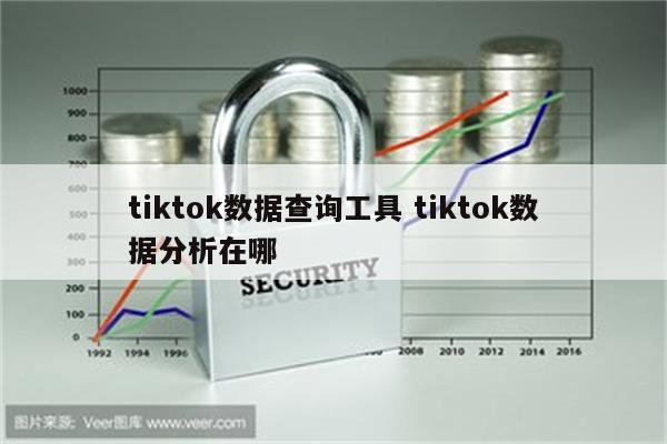 tiktok数据查询工具 tiktok数据分析在哪