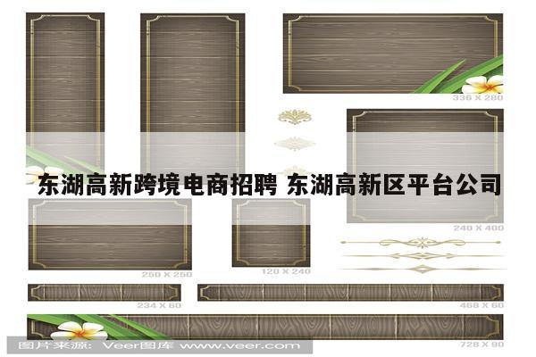 东湖高新跨境电商招聘 东湖高新区平台公司