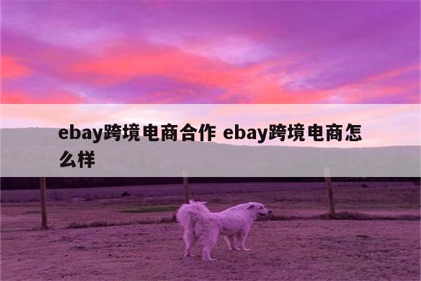 ebay跨境电商合作 ebay跨境电商怎么样
