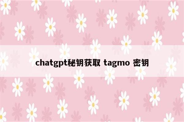 chatgpt秘钥获取 tagmo 密钥