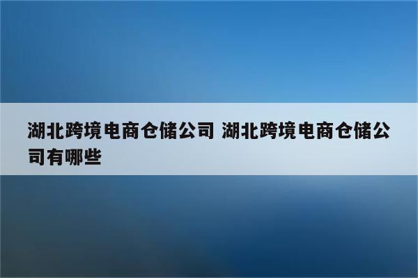 湖北跨境电商仓储公司 湖北跨境电商仓储公司有哪些