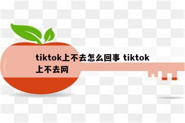 tiktok上不去怎么回事 tiktok上不去网