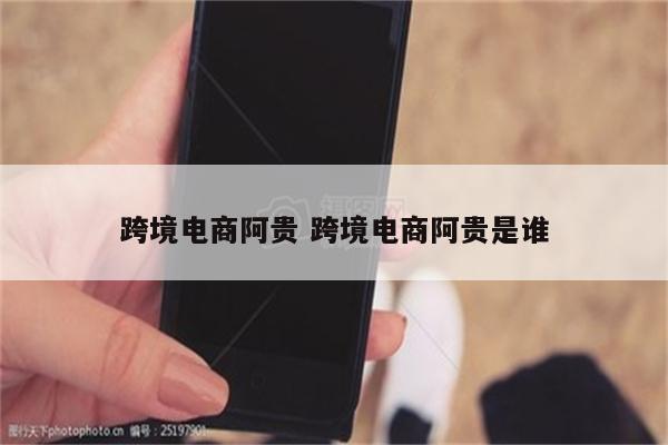 跨境电商阿贵 跨境电商阿贵是谁