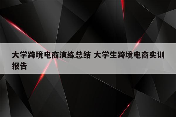 大学跨境电商演练总结 大学生跨境电商实训报告