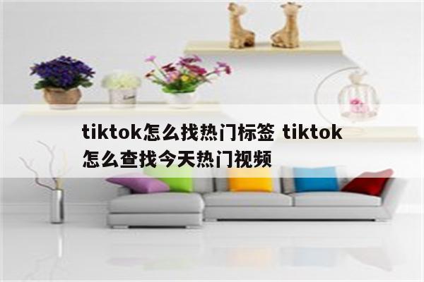 tiktok怎么找热门标签 tiktok怎么查找今天热门视频