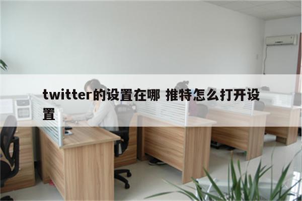 twitter的设置在哪 推特怎么打开设置