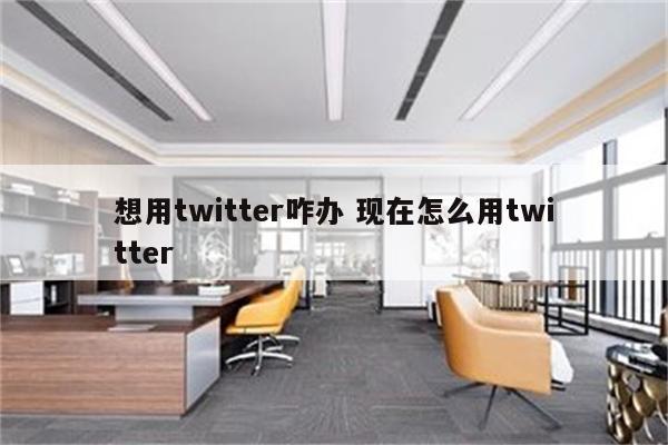 想用twitter咋办 现在怎么用twitter