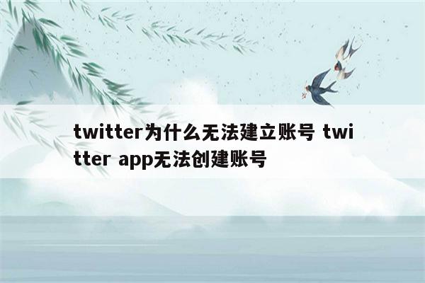 twitter为什么无法建立账号 twitter app无法创建账号