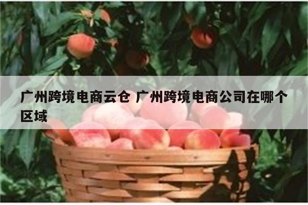 广州跨境电商云仓 广州跨境电商公司在哪个区域