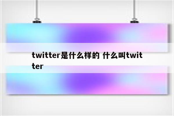 twitter是什么样的 什么叫twitter