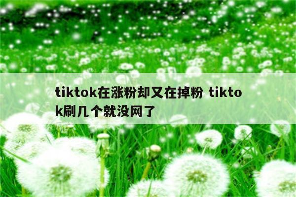 tiktok在涨粉却又在掉粉 tiktok刷几个就没网了