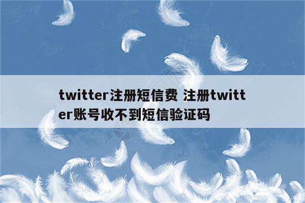 twitter注册短信费 注册twitter账号收不到短信验证码