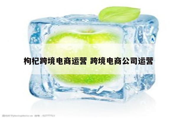 枸杞跨境电商运营 跨境电商公司运营