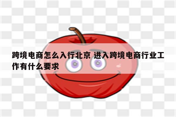 跨境电商怎么入行北京 进入跨境电商行业工作有什么要求