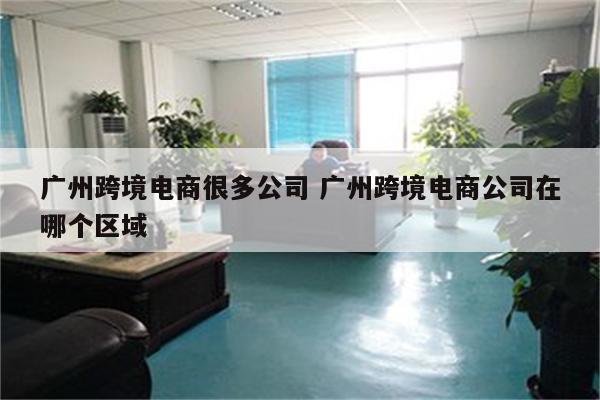 广州跨境电商很多公司 广州跨境电商公司在哪个区域