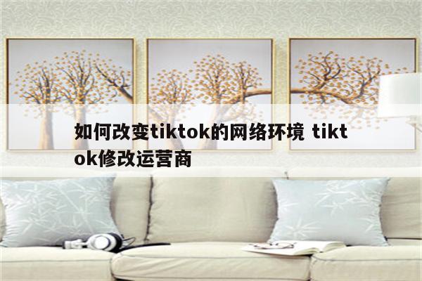 如何改变tiktok的网络环境 tiktok修改运营商