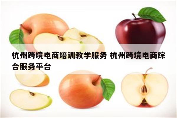 杭州跨境电商培训教学服务 杭州跨境电商综合服务平台