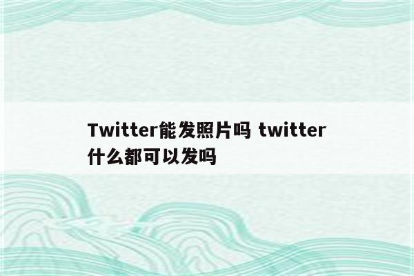 Twitter能发照片吗 twitter什么都可以发吗