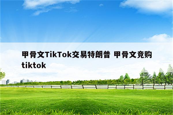 甲骨文TikTok交易特朗普 甲骨文竞购tiktok