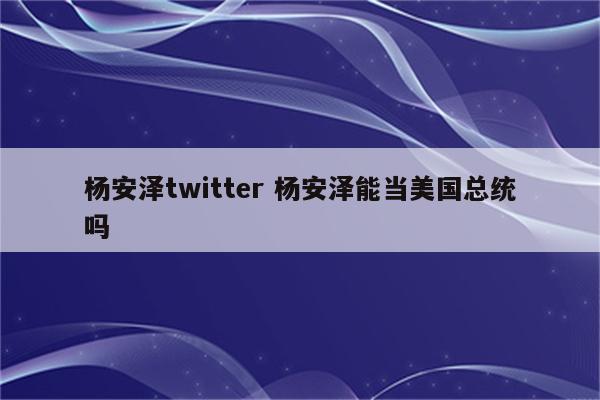 杨安泽twitter 杨安泽能当美国总统吗