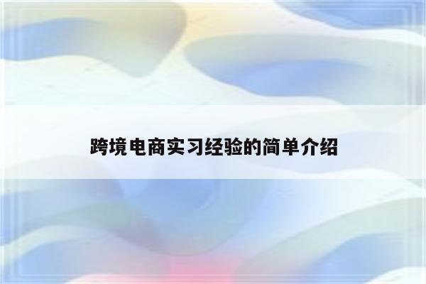 跨境电商实习经验的简单介绍