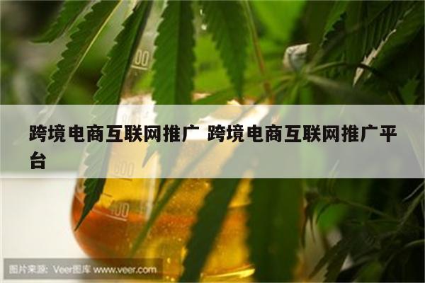 跨境电商互联网推广 跨境电商互联网推广平台